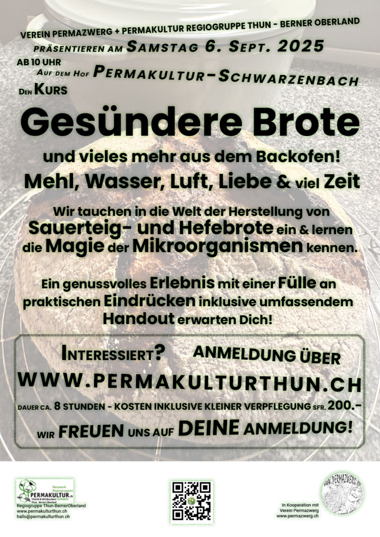 GesuendereBrote-Kurs 2025_low