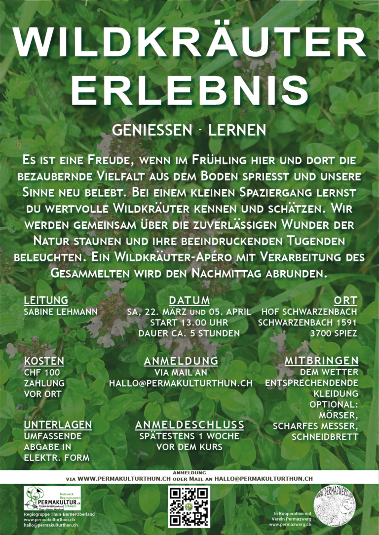 Plakat_Wildkräuterführung_22-3_5-4_25_Schwarzenbach_low